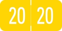 VRYM - GBS/VRE Compatible Year Band Labels - 2020 Yearband Labels (Folder Year Labels), 3/4" X1-1/2" - Roll of 500