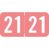 ACYM - Acme Year Labels, 2021, Pink, 3/4 x 1-1/2, 500/RL