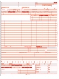 CMS - 1450 Form