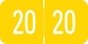VRYM - GBS/VRE Compatible Year Band Labels - 2020 Yearband Labels (Folder Year Labels), 3/4" X1-1/2" - Roll of 500