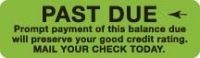 Patient Responsibility Labels, PAST DUE - Fl Green, 3" X 1-7/8" (Roll of 320)